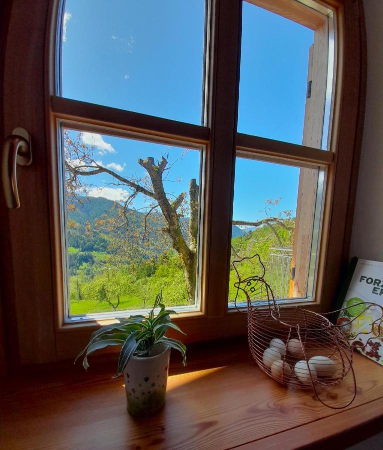 B&B Chalet Dolomiti Sant'Orsola 外观 照片