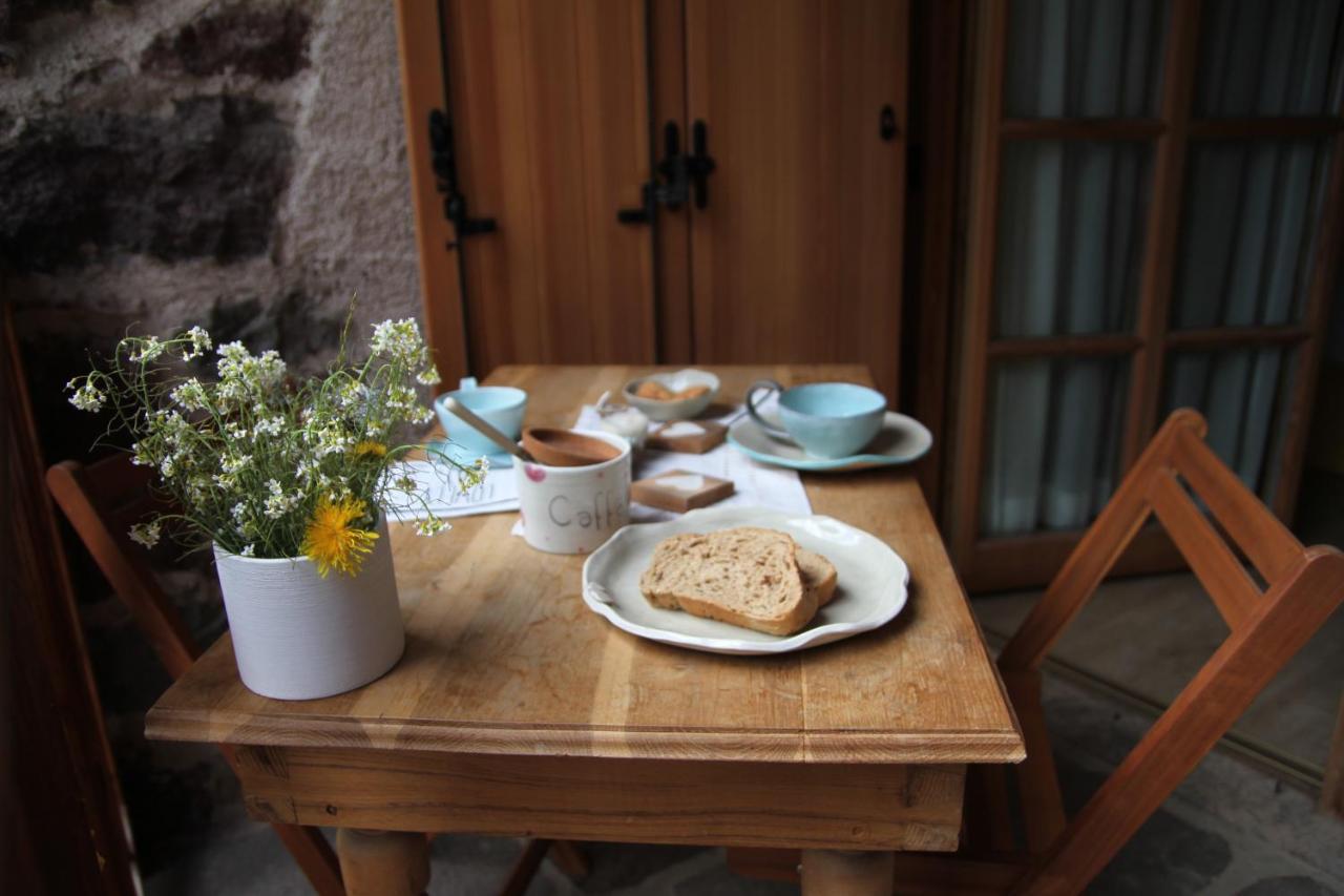 B&B Chalet Dolomiti Sant'Orsola 外观 照片