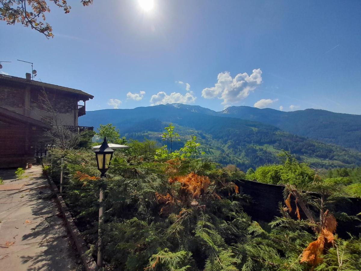 B&B Chalet Dolomiti Sant'Orsola 外观 照片