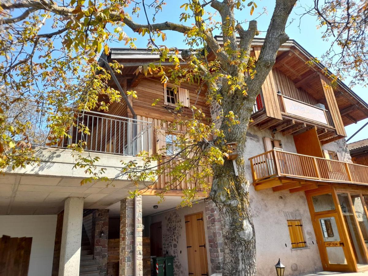 B&B Chalet Dolomiti Sant'Orsola 外观 照片
