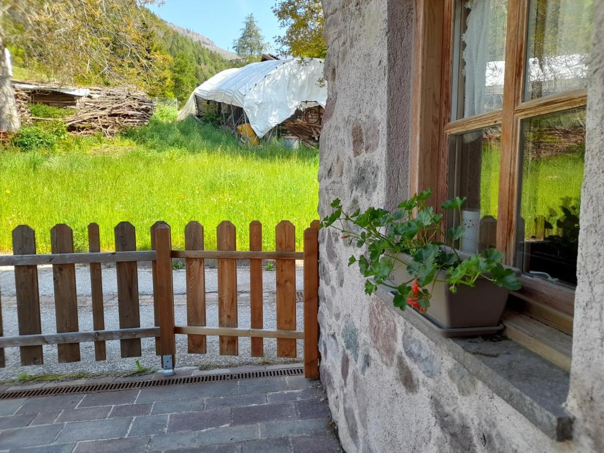 B&B Chalet Dolomiti Sant'Orsola 外观 照片