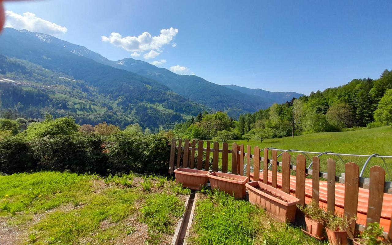B&B Chalet Dolomiti Sant'Orsola 外观 照片