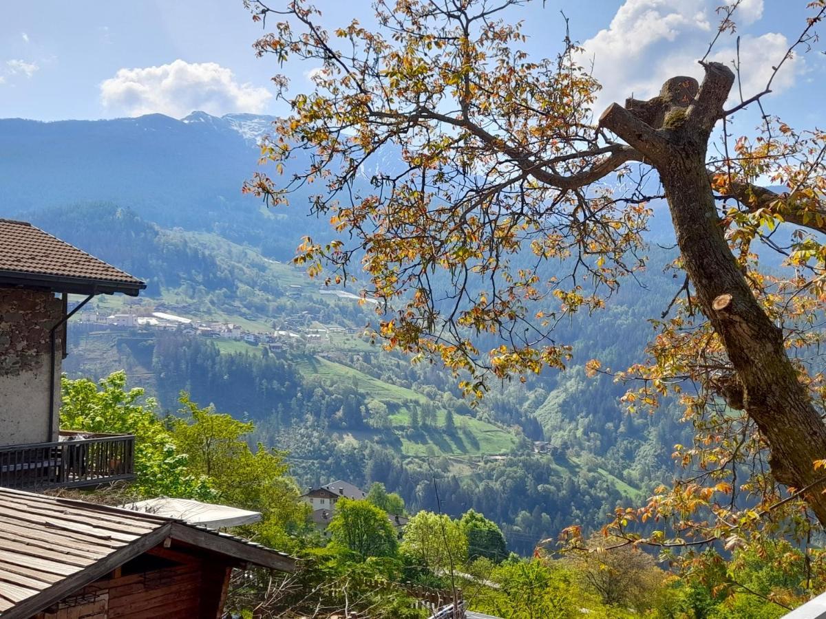 B&B Chalet Dolomiti Sant'Orsola 外观 照片