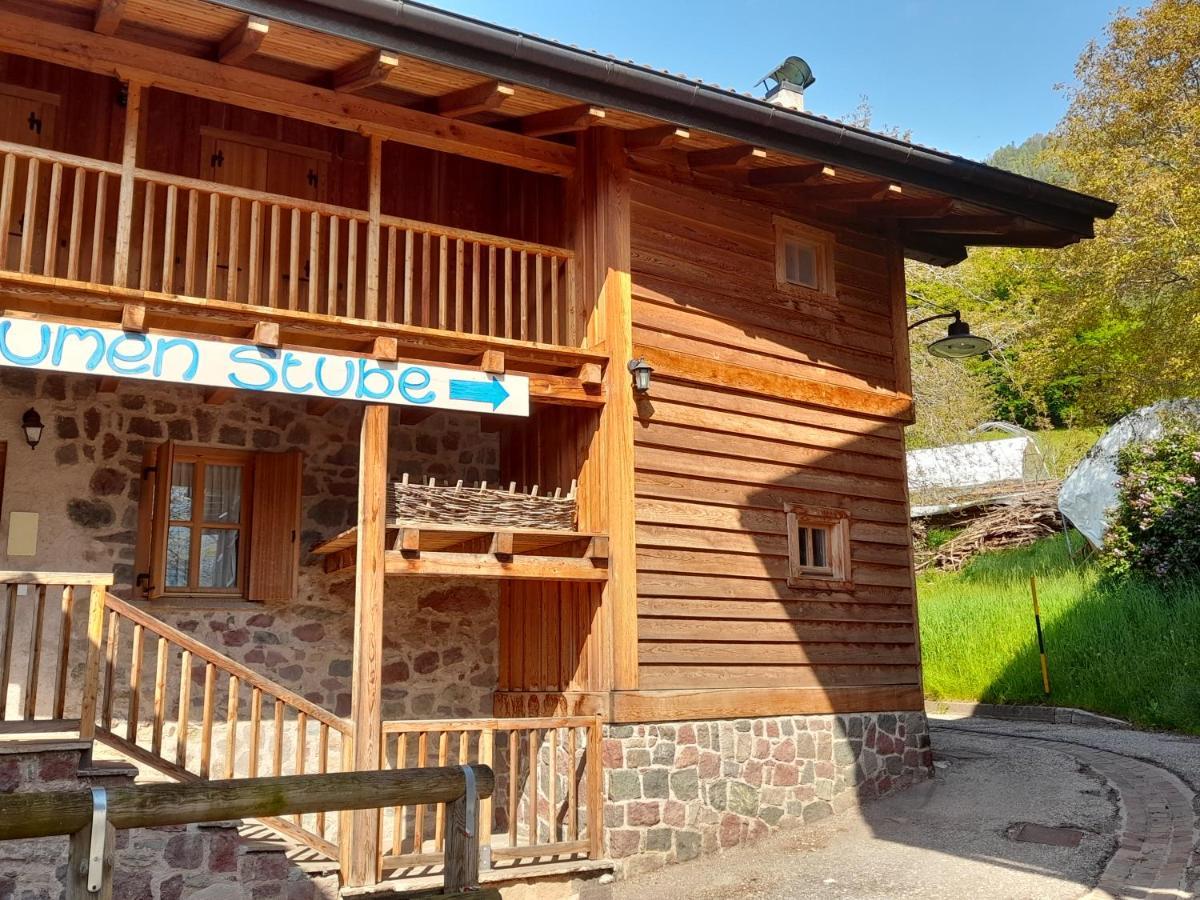 B&B Chalet Dolomiti Sant'Orsola 外观 照片