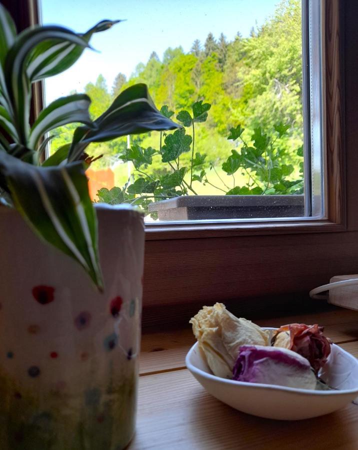 B&B Chalet Dolomiti Sant'Orsola 外观 照片