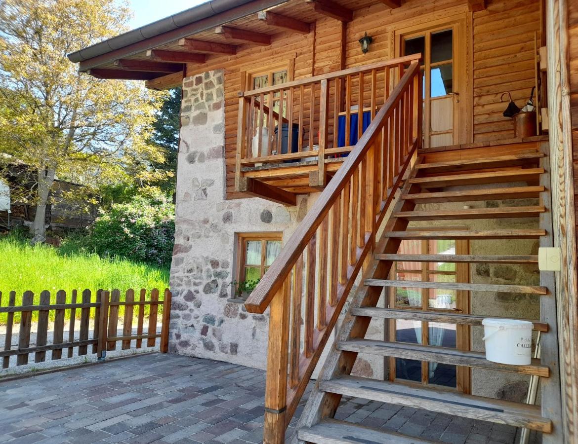 B&B Chalet Dolomiti Sant'Orsola 外观 照片