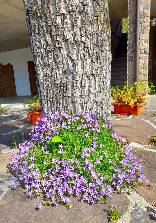 B&B Chalet Dolomiti Sant'Orsola 外观 照片